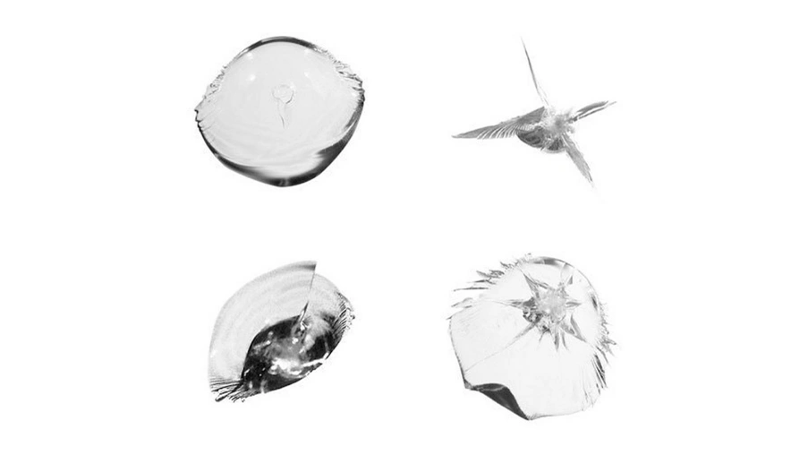 Most Common Types of Windshield Cracks